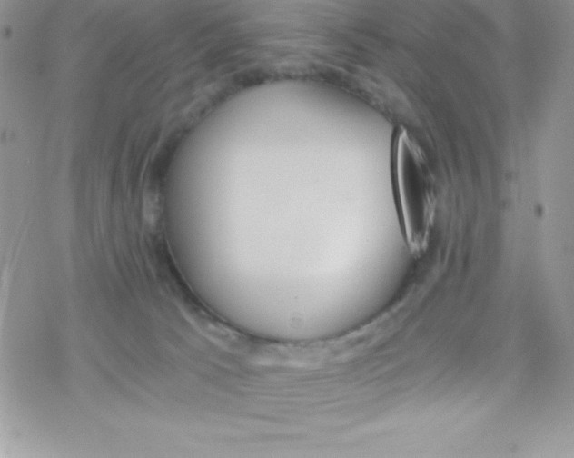 X0000078300033200611251519