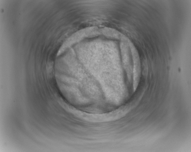 X0000078300034200611251519