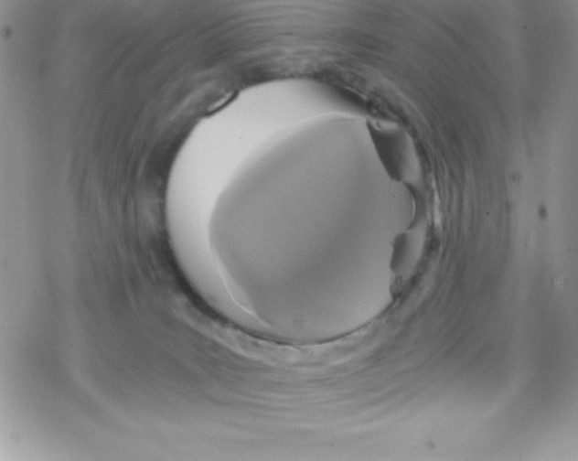 X0000078300035200611251519