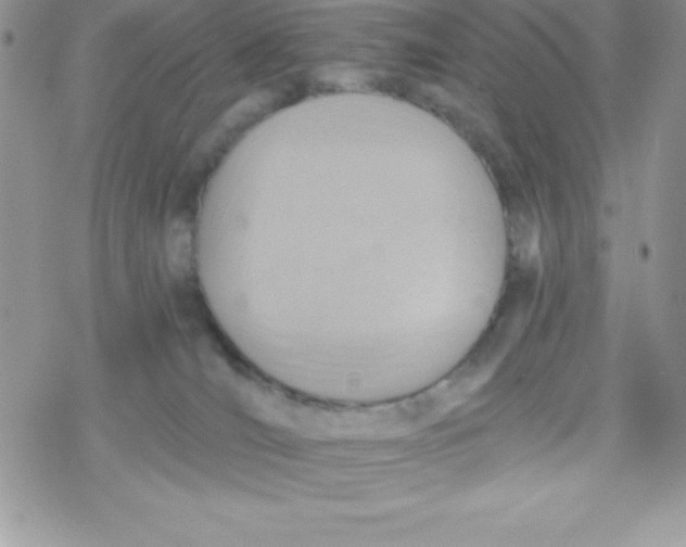 X0000078300036200611251519