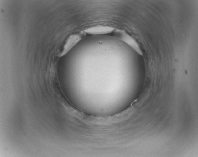 X0000078300037200611251519