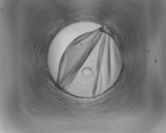 X0000078300039200611251519