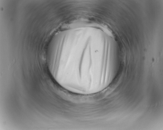 X0000078300040200611251519