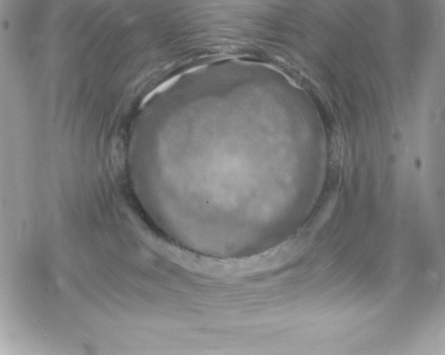 X0000078300043200611251519