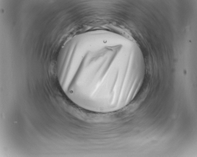 X0000078300044200611251519