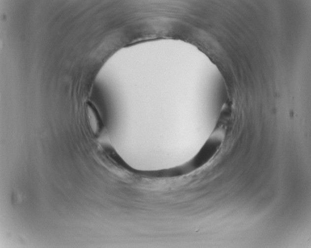 X0000078300045200611251519