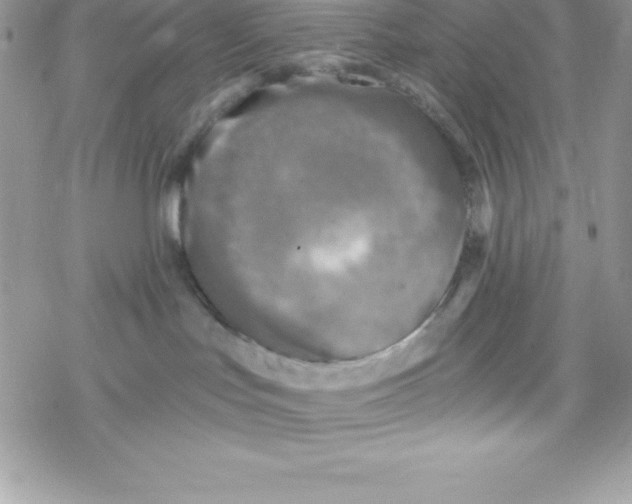 X0000078300047200611251519