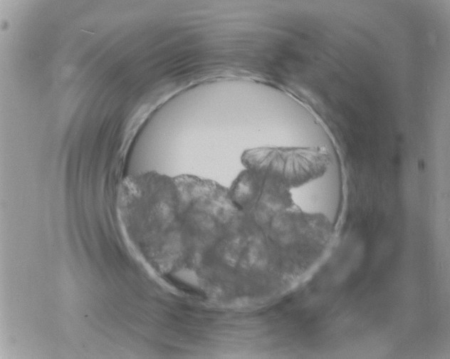 X0000078300049200611251518