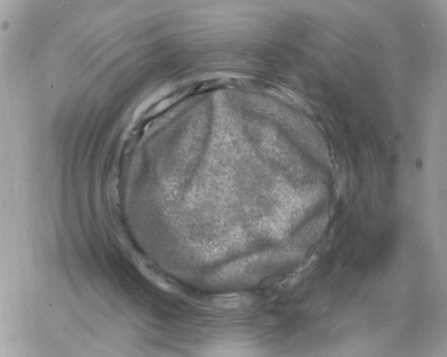 X0000078300050200611251518