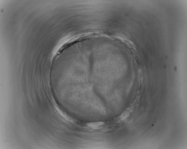 X0000078300051200611251518