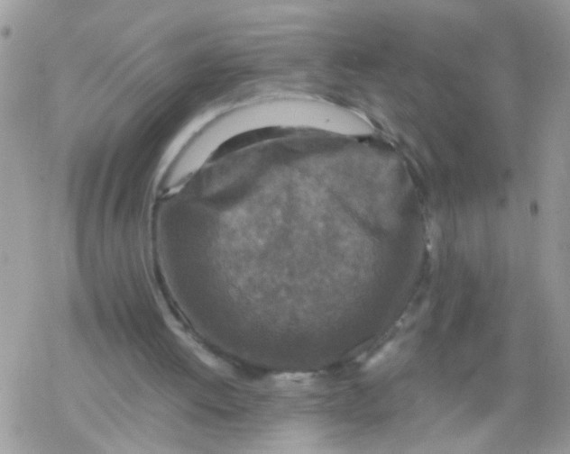 X0000078300052200611251518