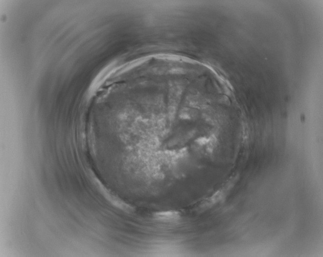 X0000078300053200611251518