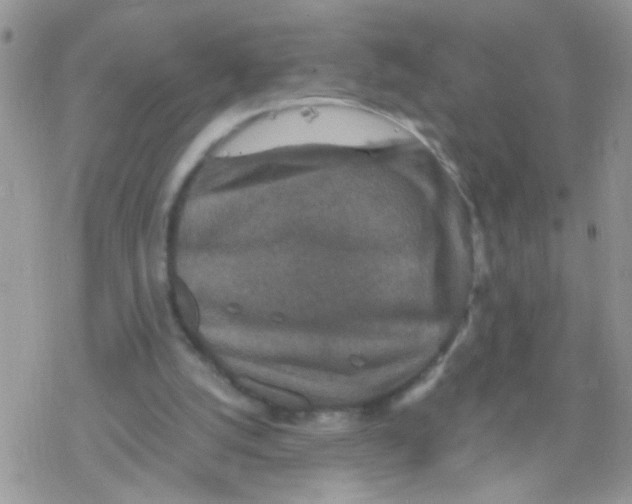 X0000078300056200611251519