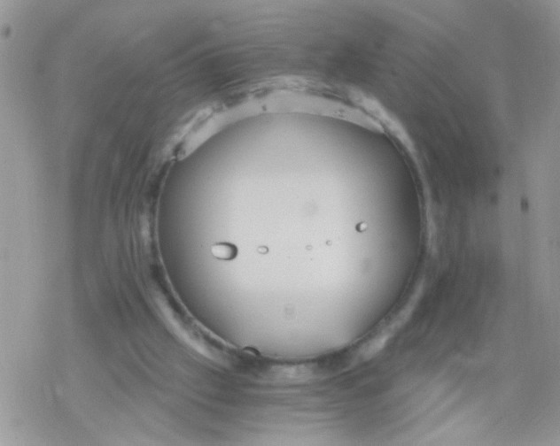 X0000078300057200611251519