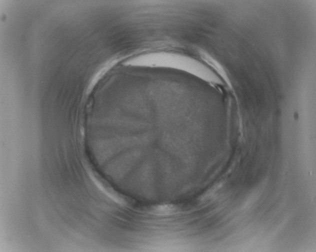 X0000078300059200611251519