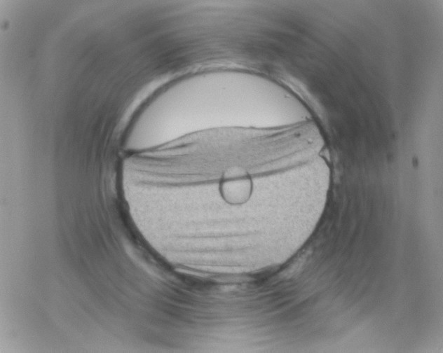 X0000078300060200611251519