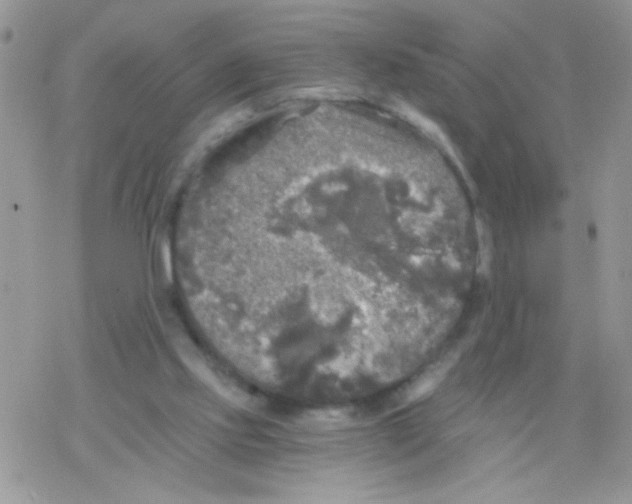 X0000078300061200611251519