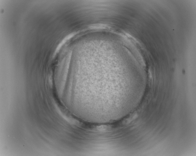 X0000078300064200611251519