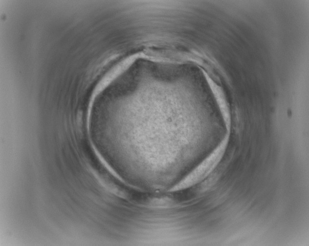 X0000078300066200611251519