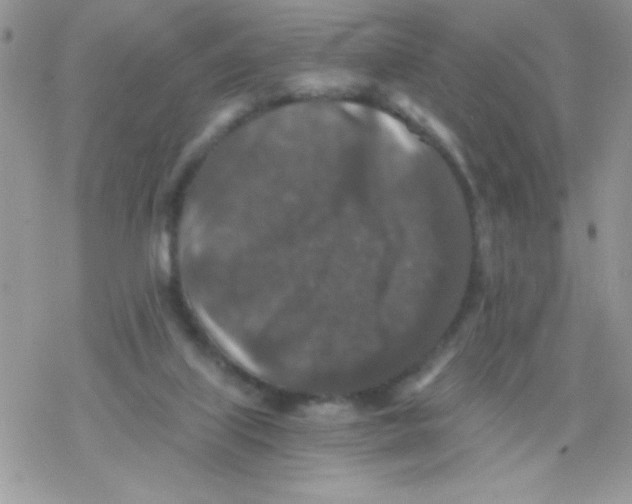 X0000078300067200611251519