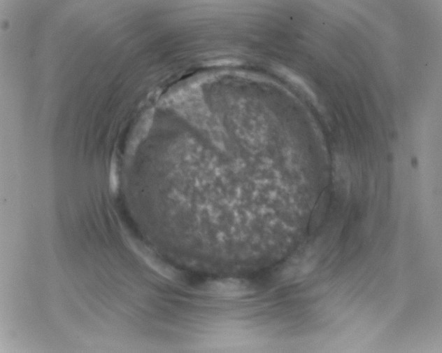 X0000078300069200611251519