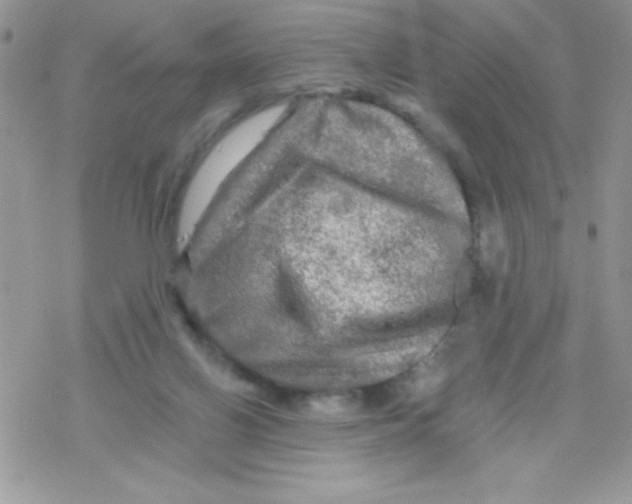 X0000078300070200611251519