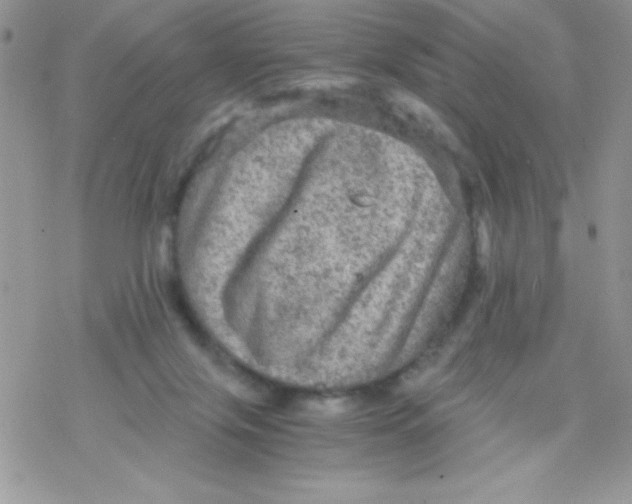 X0000078300071200611251519