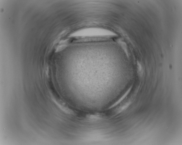 X0000078300072200611251519