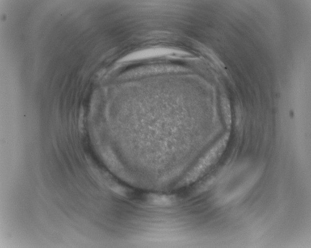 X0000078300073200611251519