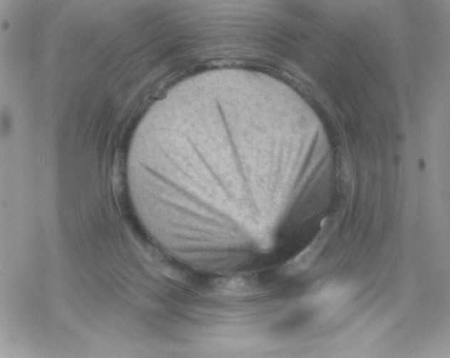 X0000078300074200611251519