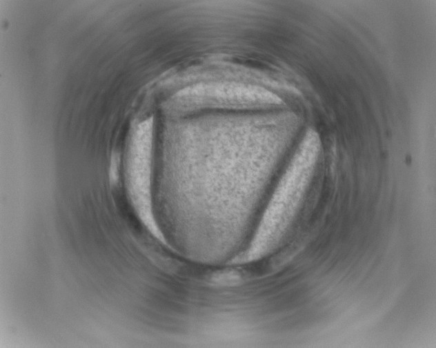 X0000078300075200611251519