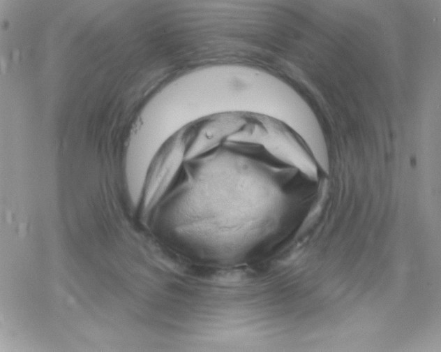 X0000078300076200611251519