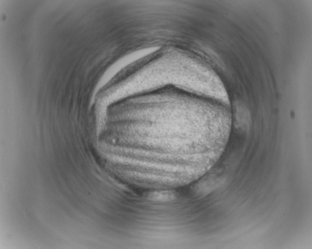 X0000078300077200611251519