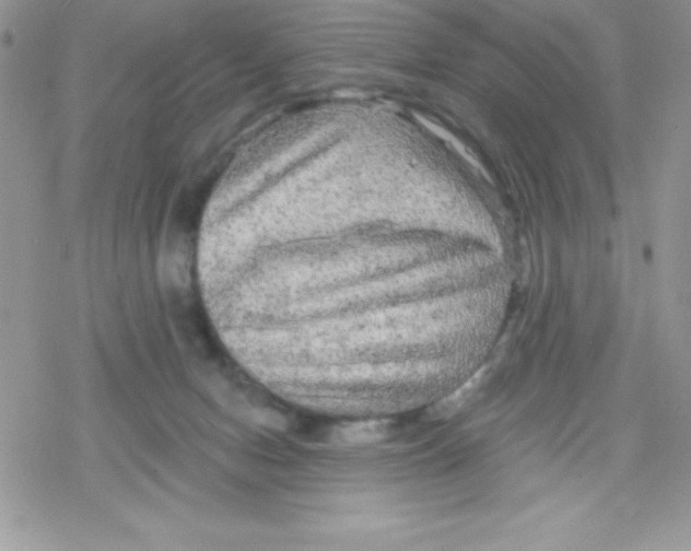 X0000078300078200611251519