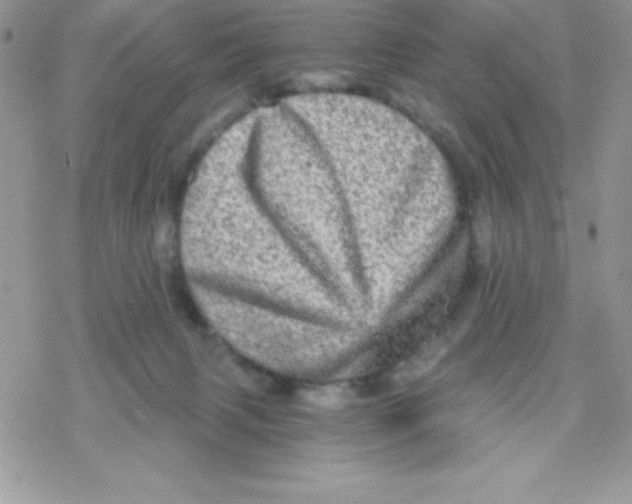 X0000078300079200611251519