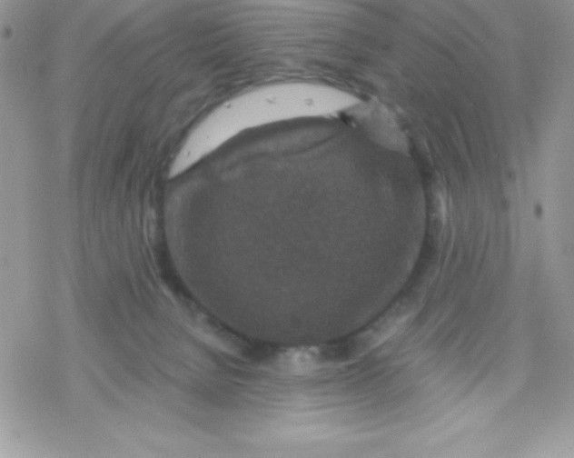 X0000078300080200611251519