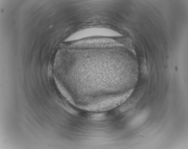 X0000078300081200611251519