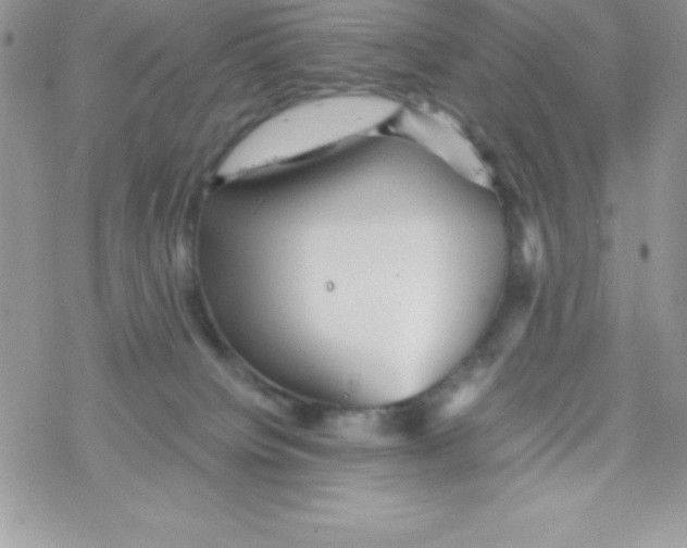 X0000078300084200611251519