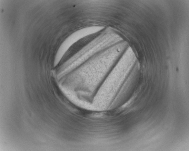 X0000078300086200611251519