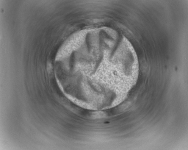 X0000078300087200611251519