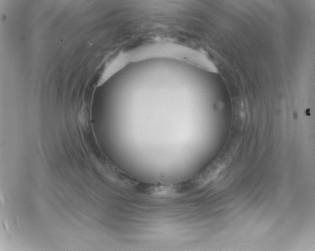 X0000078300088200611251519