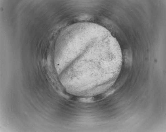 X0000078300089200611251519