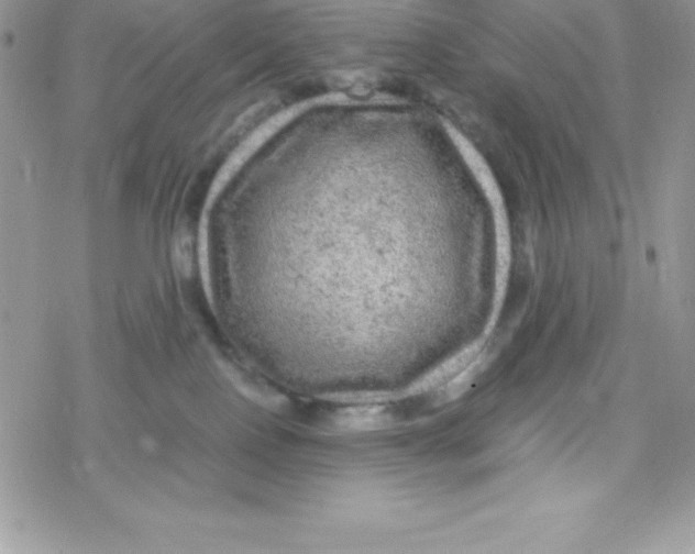 X0000078300090200611251519