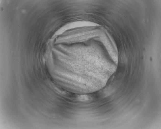 X0000078300091200611251519