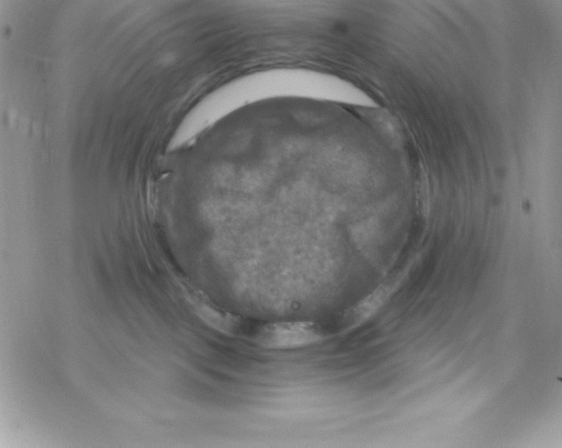 X0000078300093200611251519