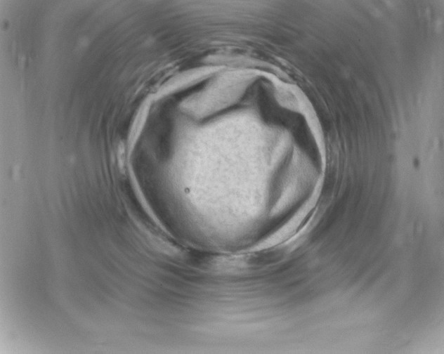 X0000078300094200611251519