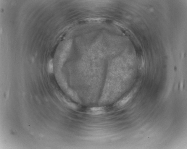 X0000078300095200611251519