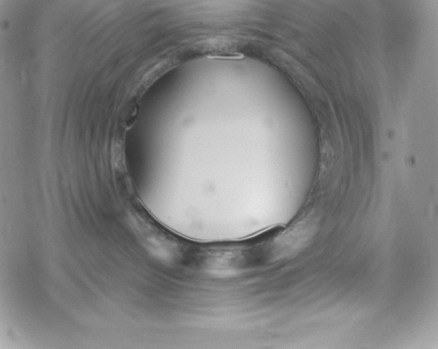 X0000078300096200611251519