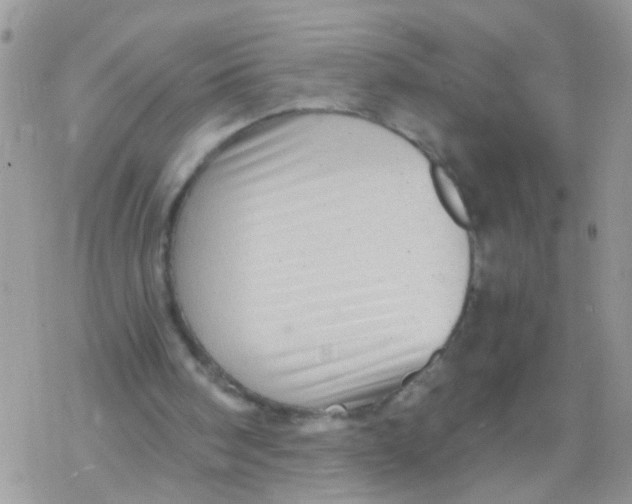 X0000078300098200611251518