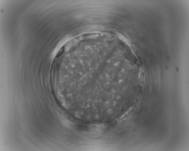 X0000078300099200611251518